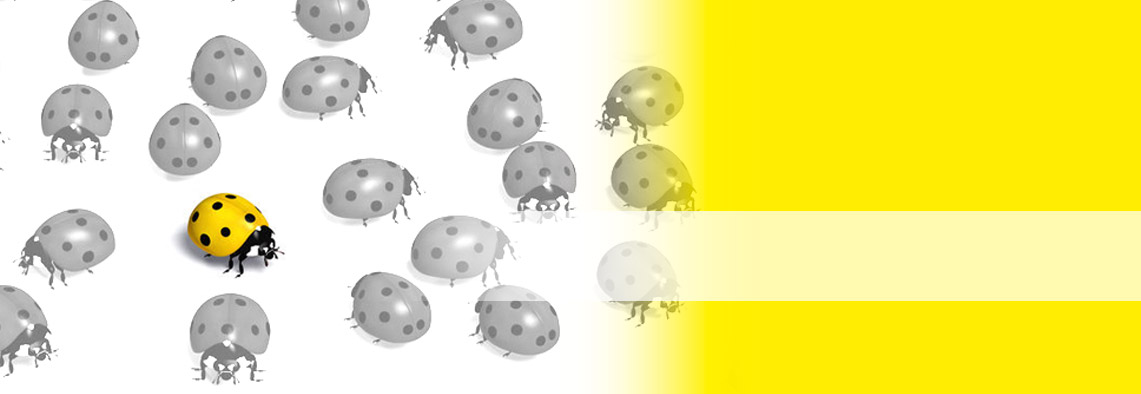 attenzione ai particolari